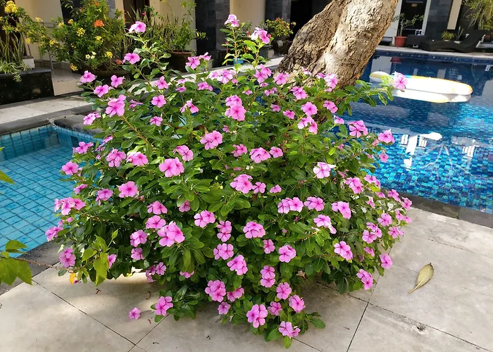 Hotel Radha Bali 2*